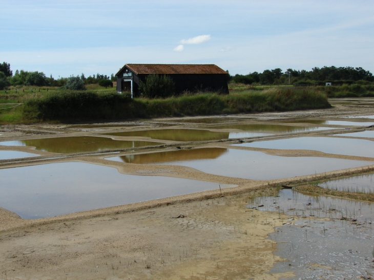 Les marais salants - Saint-Trojan-les-Bains