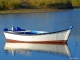 14/08/2006, 6h40 : Toujours dans le port des Salines, cette mouette se repose sur une barque inoccupée