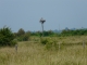 Photo suivante de Talmont-sur-Gironde nid de cigognes