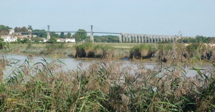 Vue depuis le port - Tonnay-Charente