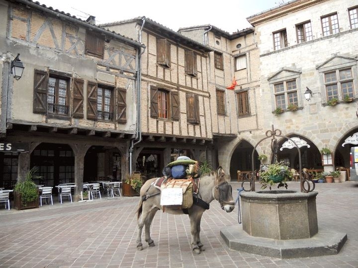 CESAR le fidele compagnon de BRUNO sur le chemin du retour. Ils seront de retour le 19/11/2011 vers 16h30 - Montrollet