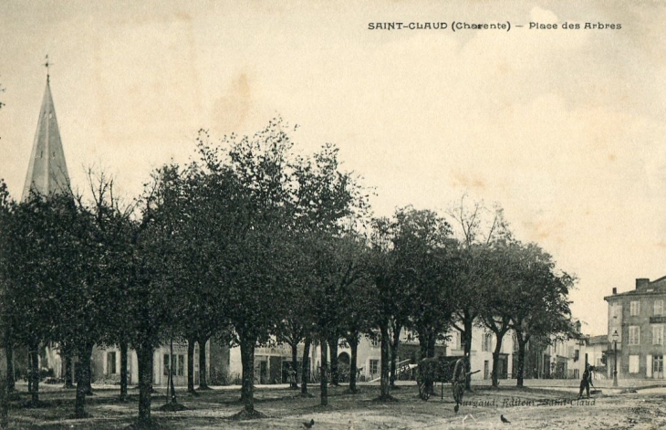 Place des arbres - Saint-Claud