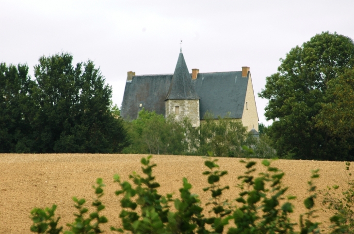 Chateau de Nuchéze - Champdeniers-Saint-Denis