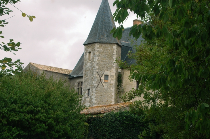 Chateau de Nucheze  - Champdeniers-Saint-Denis
