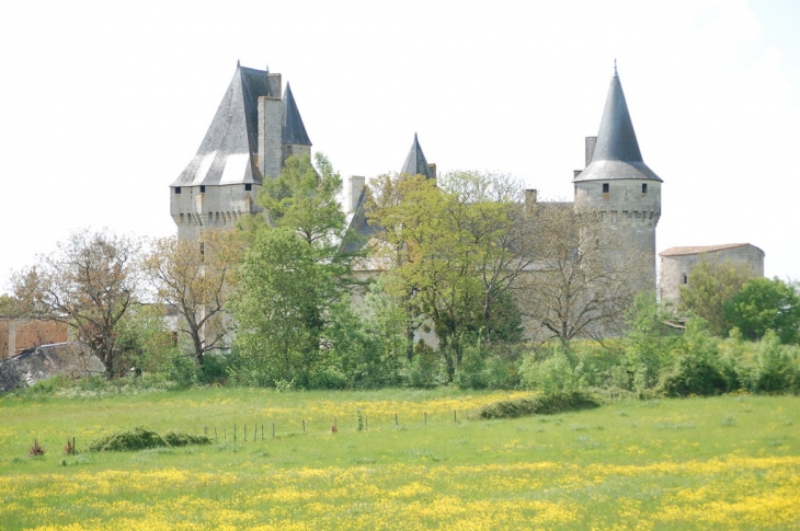 Chateau XV ° - Cherveux