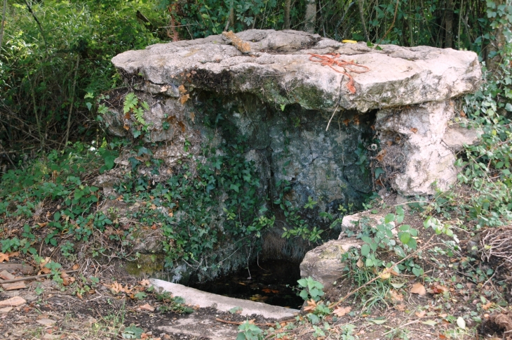 Fontaine de Plan des Naides  - Exireuil