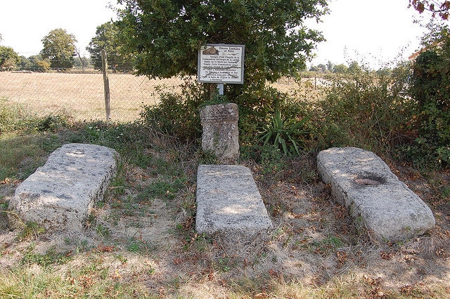 Le site de Lalande tombes de templiers  - Gourgé