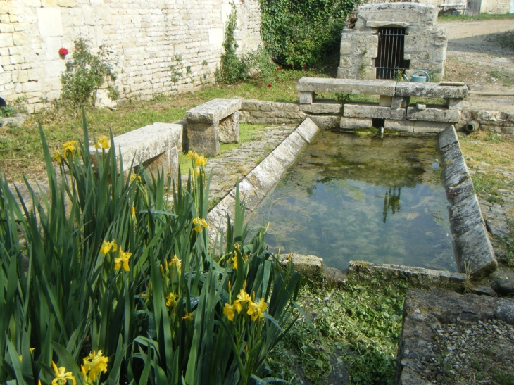 Une fontaine dans le village - Hanc