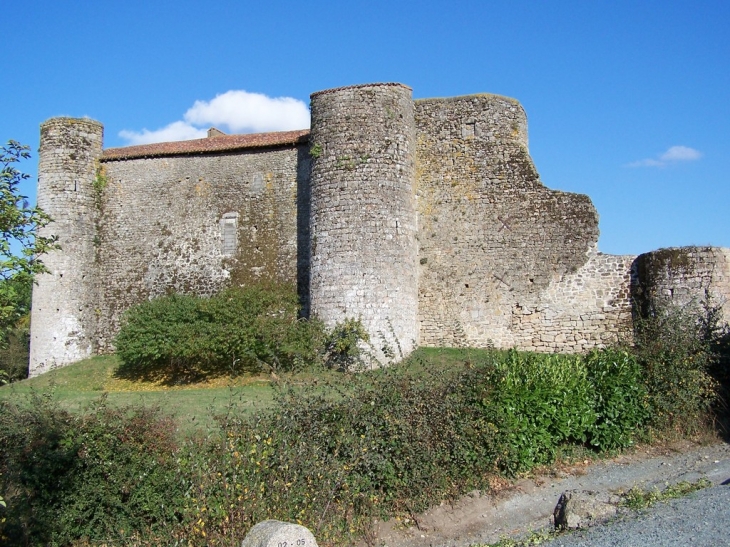 Le chateau - Pougne-Hérisson