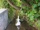 Le lavoir 