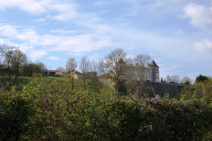 Chateau de LA PIMPELIERE - Sainte-Ouenne