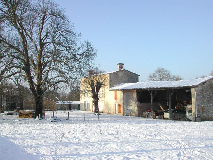 Neige janvier 2010 - Souvigné