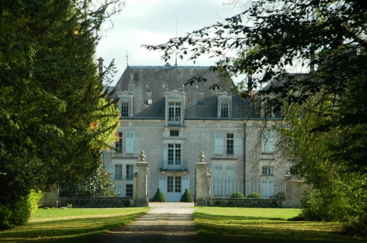 Chateau du Chilleau (privé) - Vasles