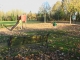 Photo suivante de Vernoux-en-Gâtine les bords de sèvres