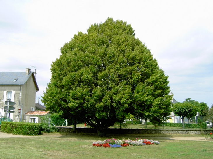 Jardin public - Leignes-sur-Fontaine