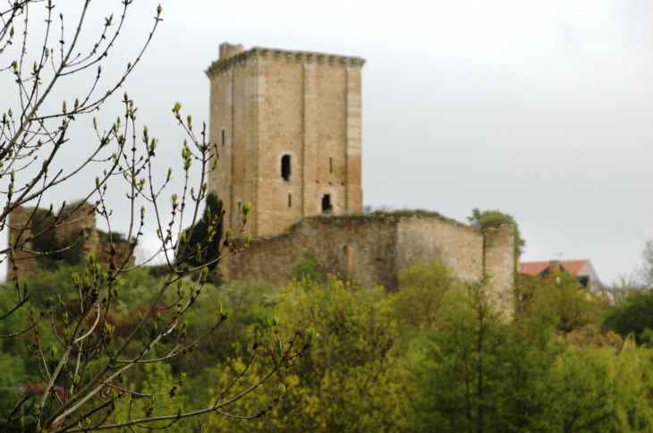 La tour Du gusclin  - Moncontour