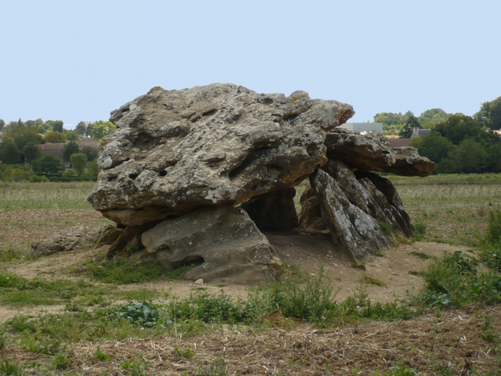 La Pierre-Levée, dolmen néolithique formé de dalles gréseuses. La table du dolmen est longue de 7,5m et large de 4m. Son épaisseur est de 90cm. - Neuville-de-Poitou