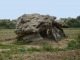 La Pierre-Levée, dolmen néolithique formé de dalles gréseuses. La table du dolmen est longue de 7,5m et large de 4m. Son épaisseur est de 90cm.
