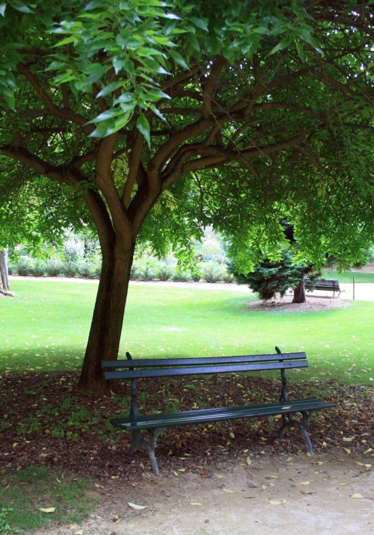 Banc dans le jardin des plantes - Poitiers