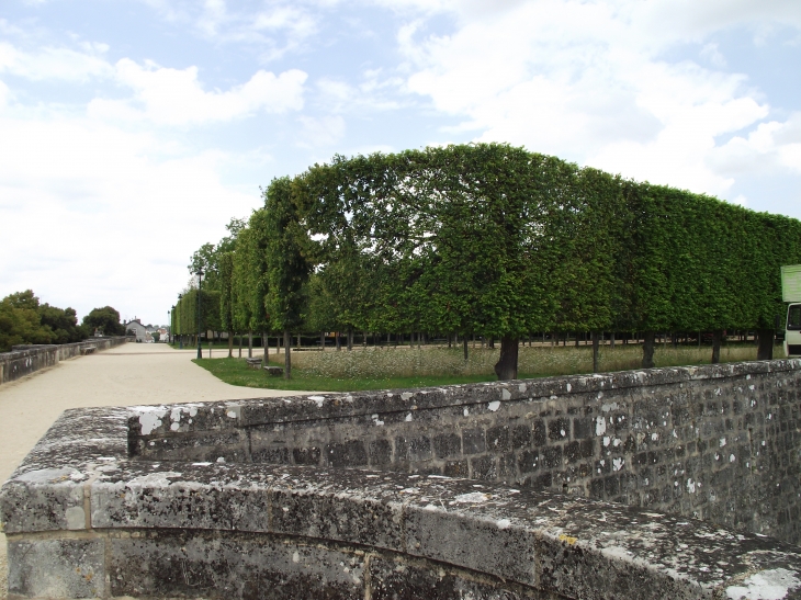 Une vue du Parc jouxtant les remparts - Poitiers