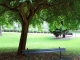 Photo suivante de Poitiers Banc dans le jardin des plantes