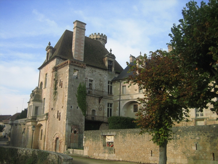 Le Chateau - Saint-Savin