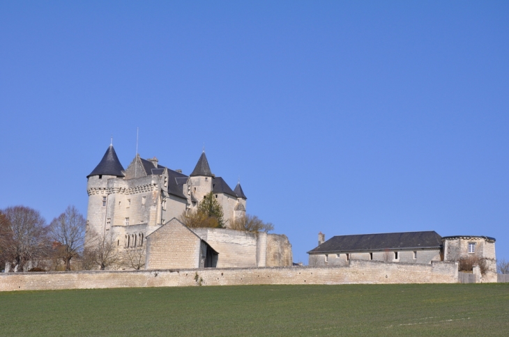 Le château de la Motte - Usseau