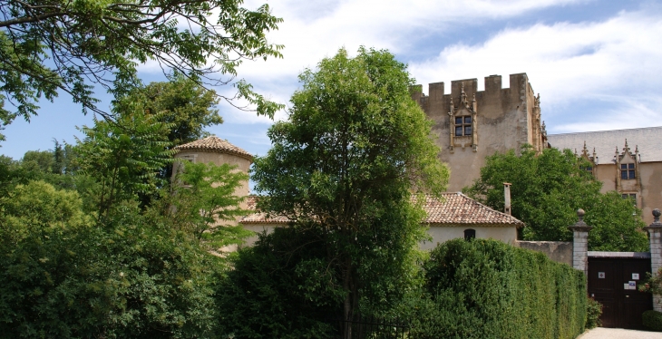   Château d'Allemagne en Provence 13 Em Siècle - Allemagne-en-Provence
