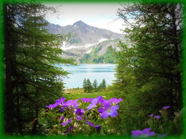 Lac d'Allos