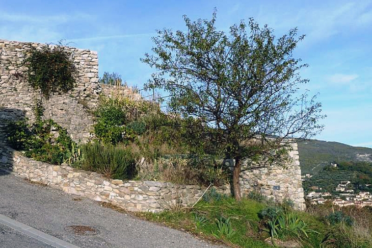 Vieux murs - Aubignosc