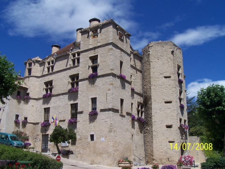 Le chateau - Château-Arnoux-Saint-Auban