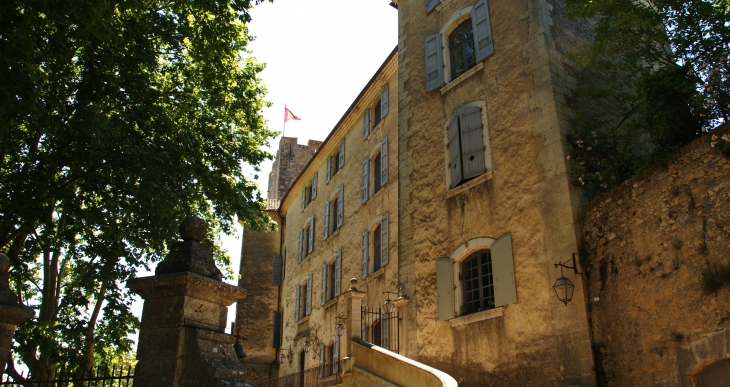 &Château D'Esparron 13 Em Siècle - Esparron-de-Verdon