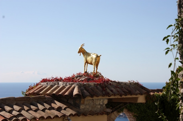 La chèvre d'or à Eze - Èze