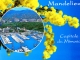 La Capitale du Mimosa (carte postale).