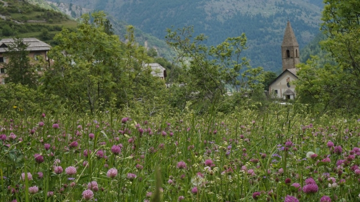 Le village - Saint-Dalmas-le-Selvage