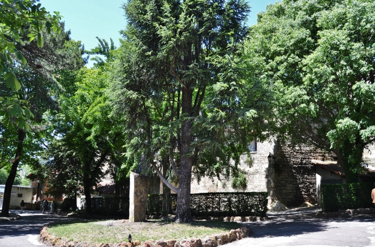 Le Parc - Arles