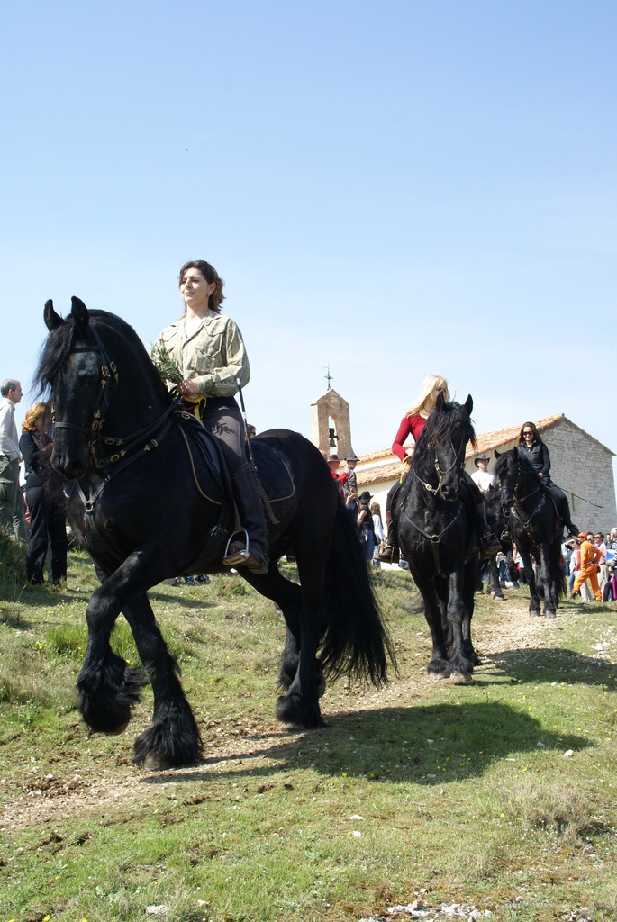 Bénédiction des chevaux - Cabriès