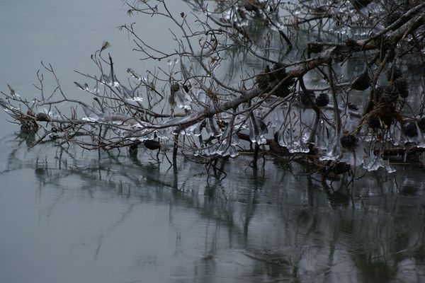 Hiver 2009 2010 - Cabriès