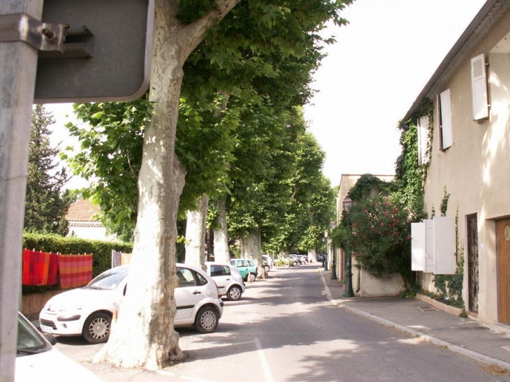 Rue du Canal - Lamanon