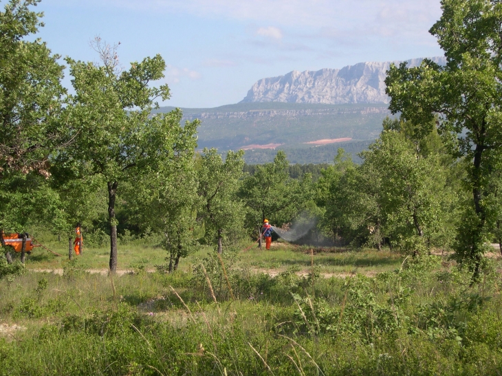 Défense des forêts contre l'incendie - Exercices  - Peynier