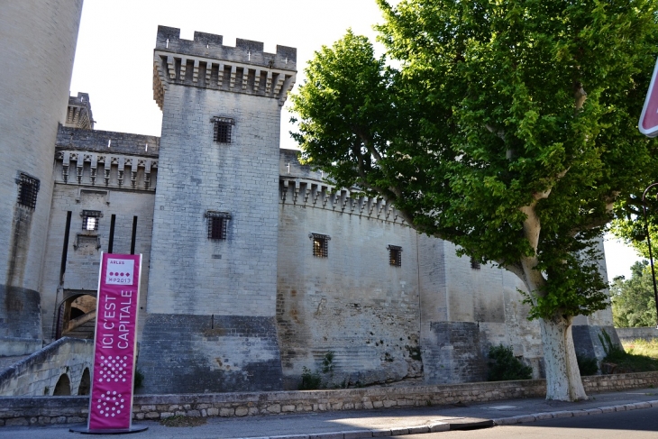 Le Château - Tarascon