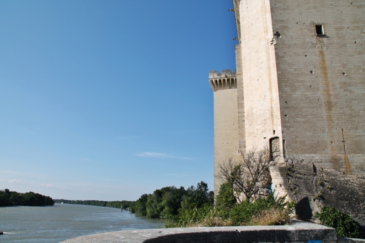 Le Château - Tarascon