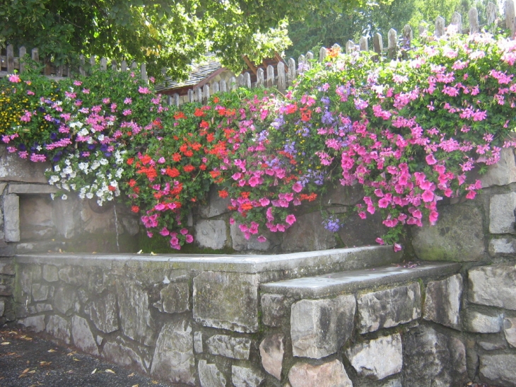 Traditionnelle Fontaine de village - Saint-Léger-les-Mélèzes