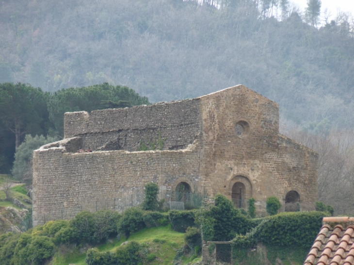 Les ruines du chateau - Collobrières