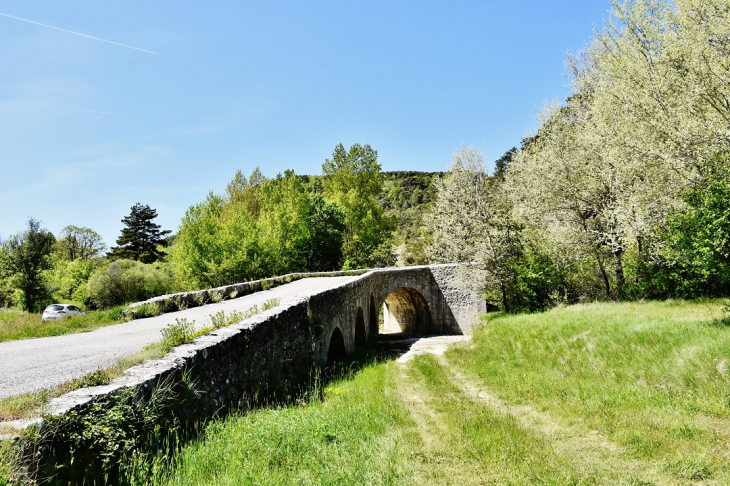 Pont Romain - Comps-sur-Artuby