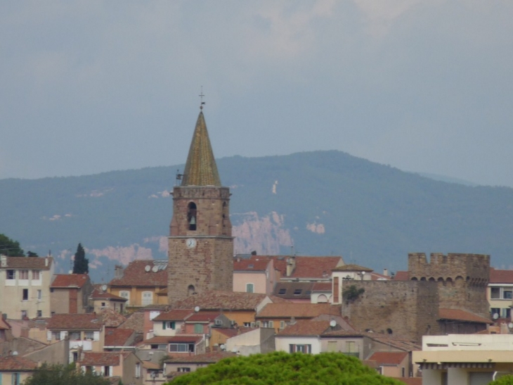 La cathédrale Sainte Léonce - Fréjus