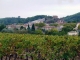 Photo précédente de Gonfaron le village au dessus des vignes