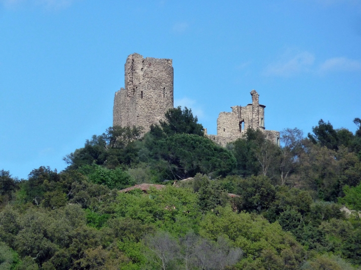 Le château - Grimaud