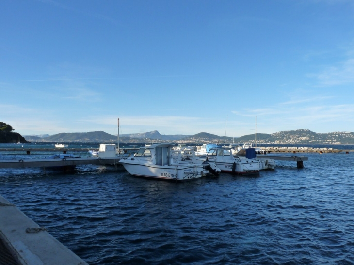 Le port de la Madrague - Hyères