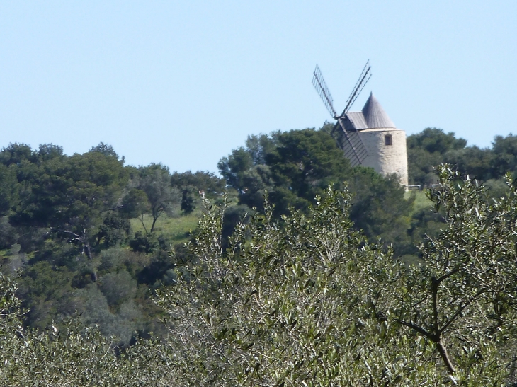 Ile de Porquerolles :le moulin - Hyères